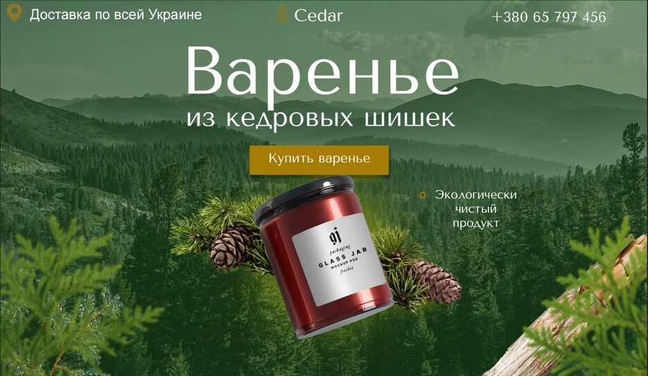 Лендинг.jpg