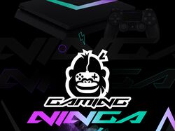 Gaming ninja