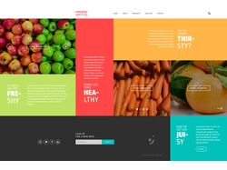Organic Juicy Co.