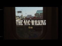 THE NYC WALKING