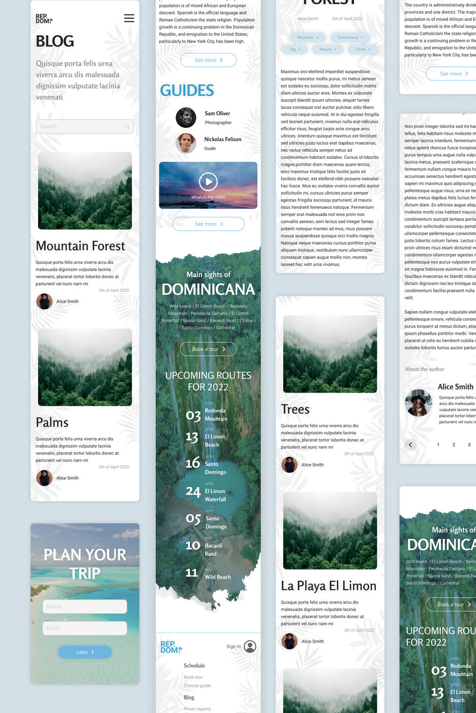 Mobile adaptation-1.jpg