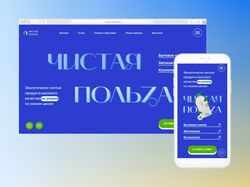 Чистая польза