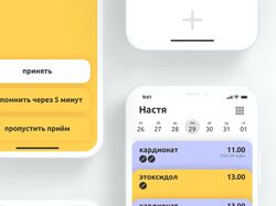 Прототип приложения InTake