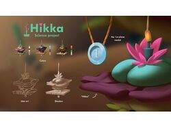 Растение "Хикка": от ростка до взрослого растения