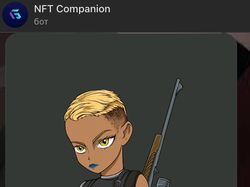 NFT Companion