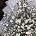 Dariya_10