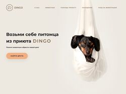 DINGO - Приют для бездомных животных
