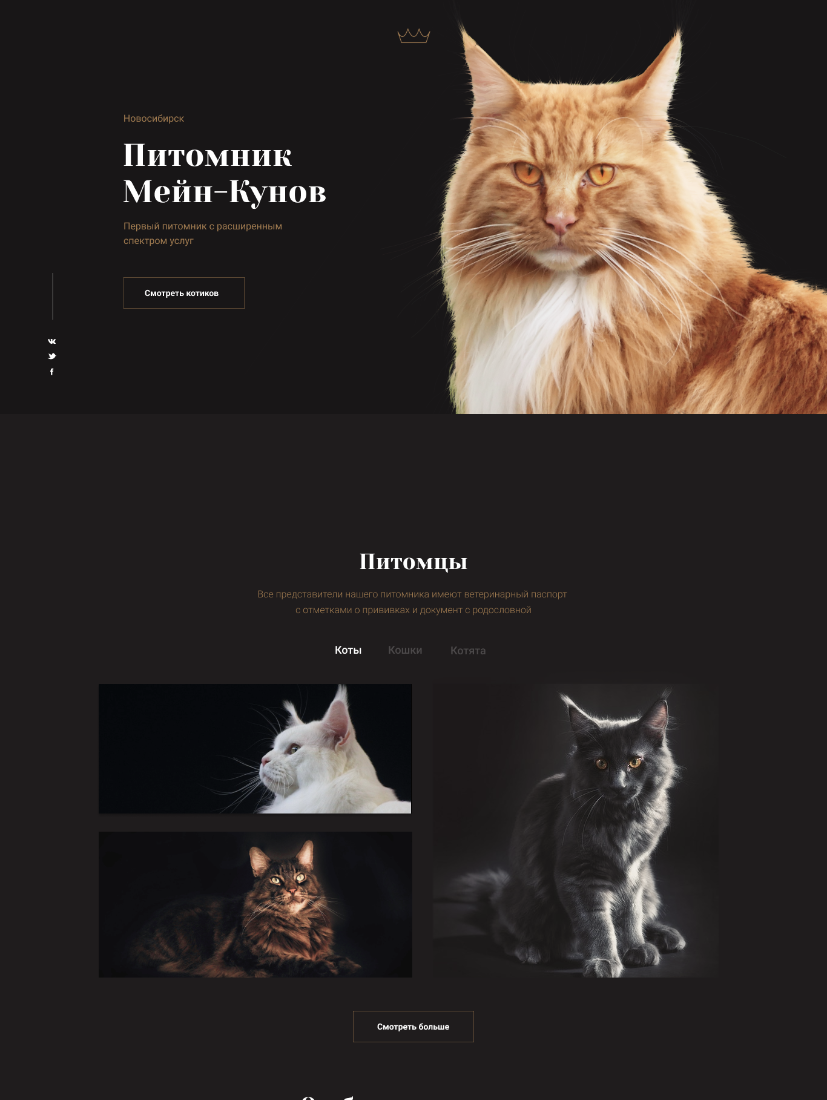 main_coon_preview.png