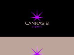 фирменный стиль для cannasib