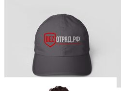Фирменный стиль для "Дезотряд"