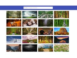 Images search via React