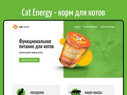 Адаптивная верстка сайта: Cat Energy