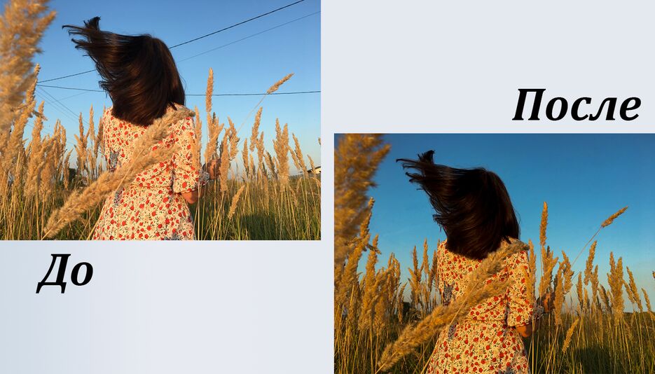 лиза.png