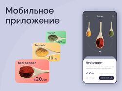 Концепт мобильного приложения магазина специй