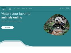 Online-zoo(Адаптивный веб-сайт)