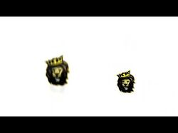 Example transitions and motion title