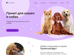 Дизайн для приюта собак и кошек