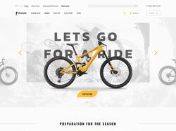 E-commerce-Specialized
