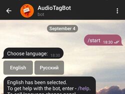 Телеграмм бот для настройки аудио тегов