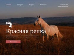 Сайт конного клуба