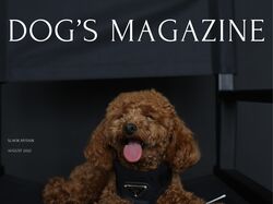 Dog's Magazine I Website