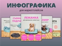 Дизайнер инфографики