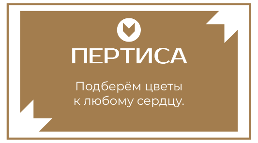 визитка пертиса 2-01.png