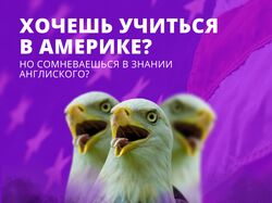 Банери