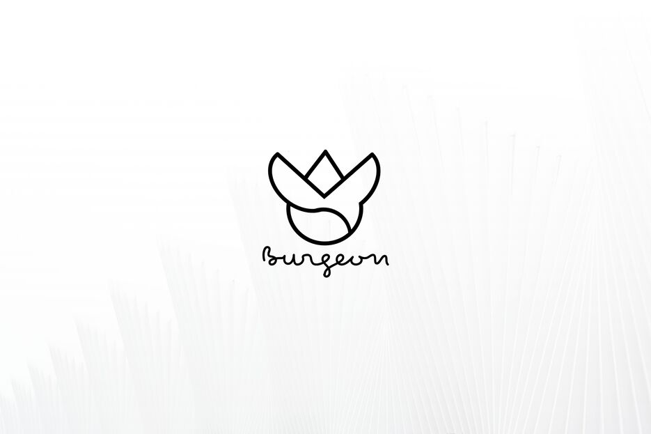 burgeon порт.png