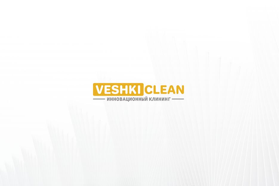 veshki clean  порт.png