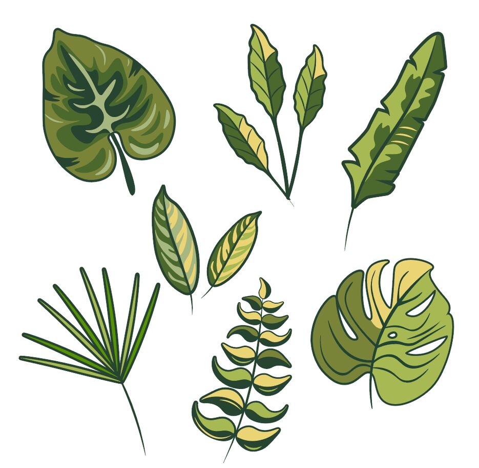 shot_220801_210449.png