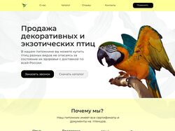 Сайт по продаже экзотических птиц