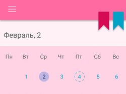womens  calendar