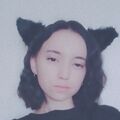 Mint_Cat_