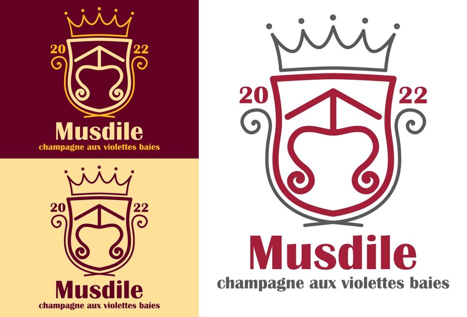 MusdilePORTFOLIO.jpg