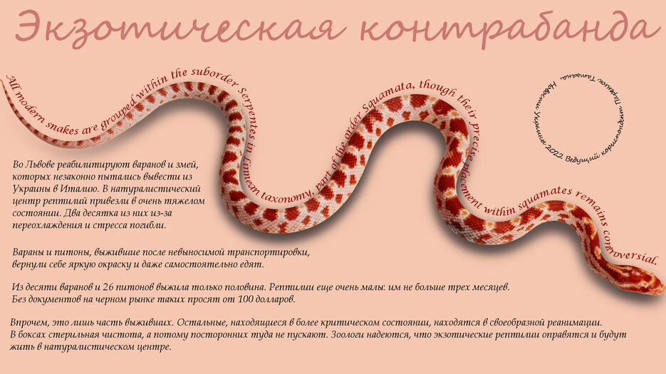 Змея ДЗ копия.jpg