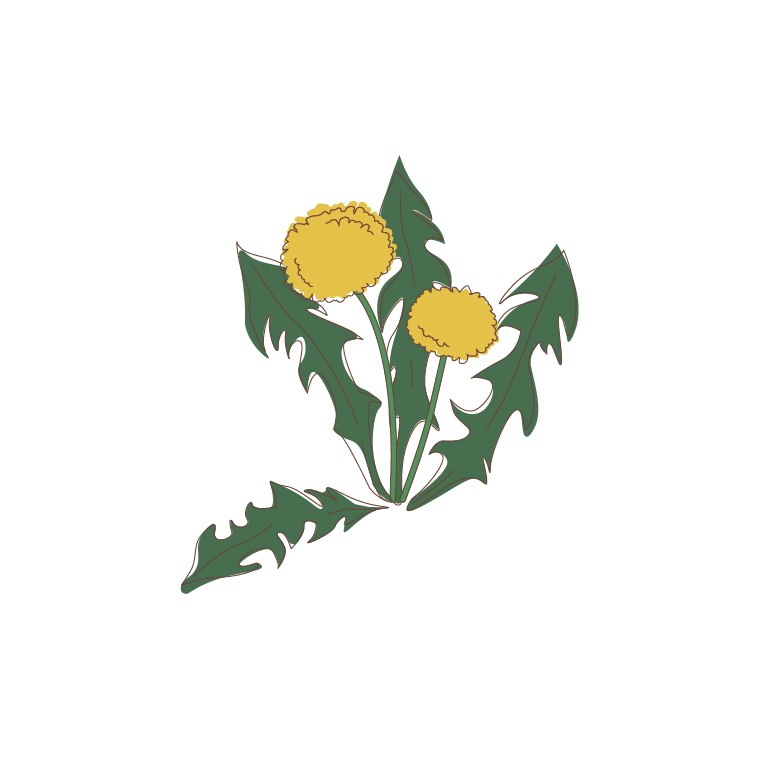flowers15-07.png