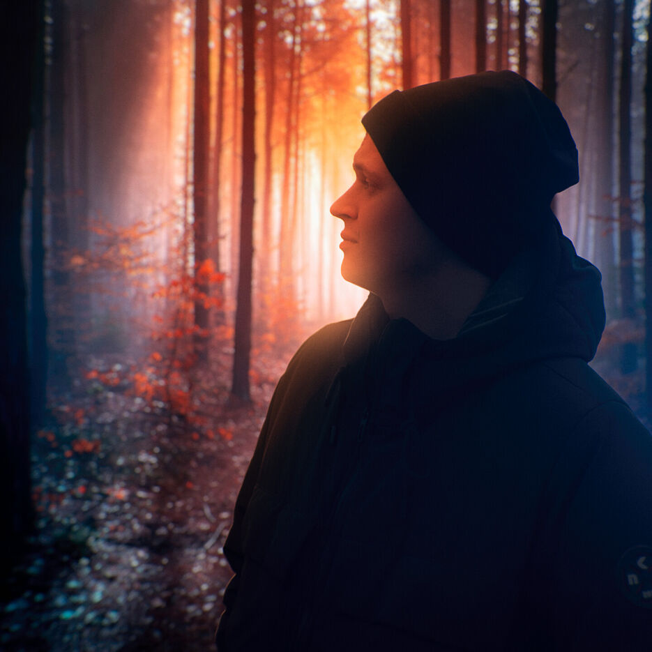 nikita-haru-forest.jpg
