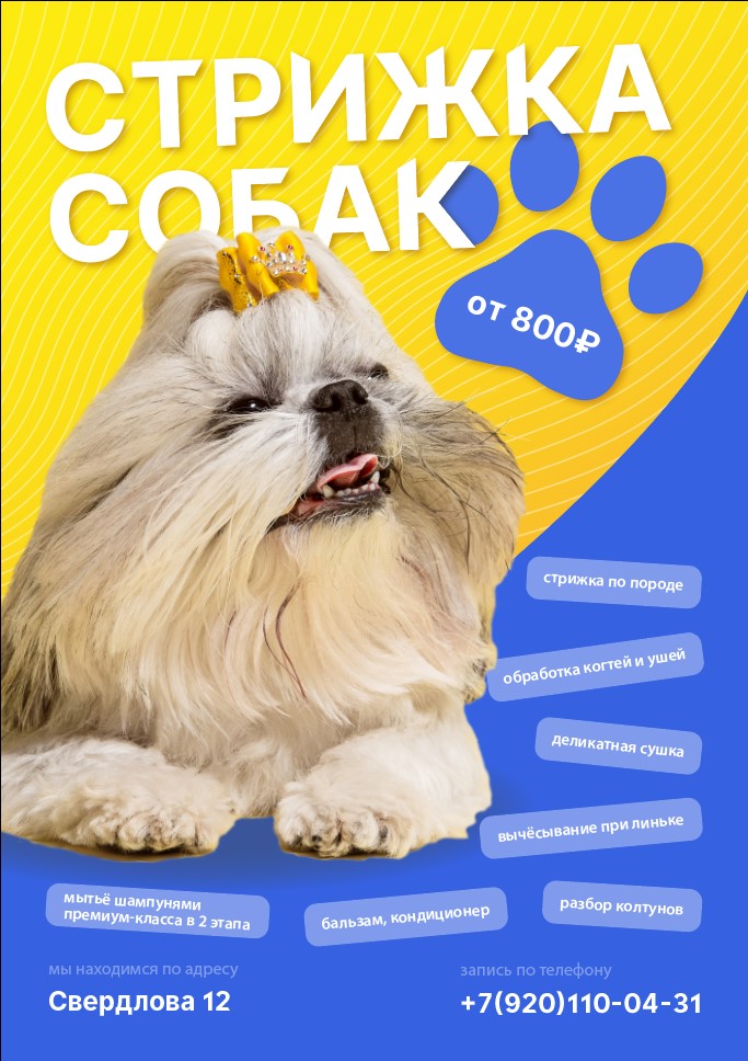 Dog grooming.jpg