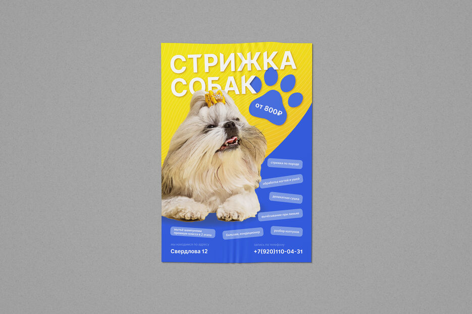 Dog grooming.jpg