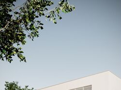 Сделаю качественно и быстро ваши мечты реальностью