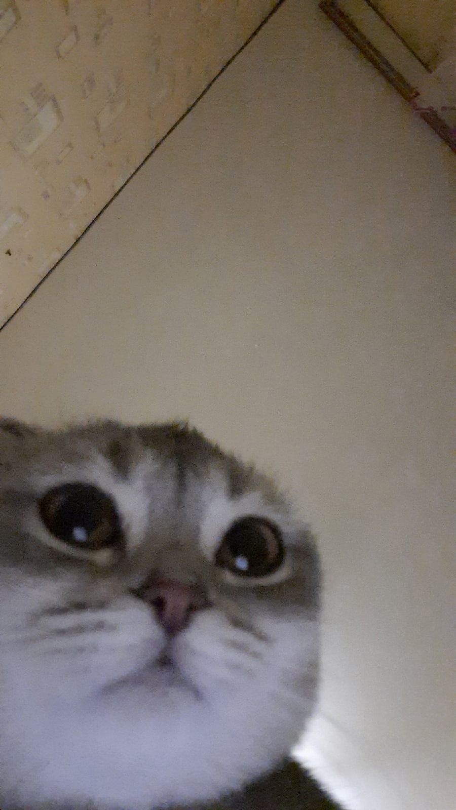 JL6IjUSJkUE.jpg