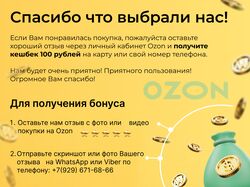 Дизайн листовки для OZON