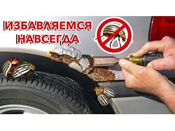 Обложка для видео ютуб канала Саняпокажет Pro Auto