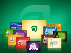 Презентация AGEL