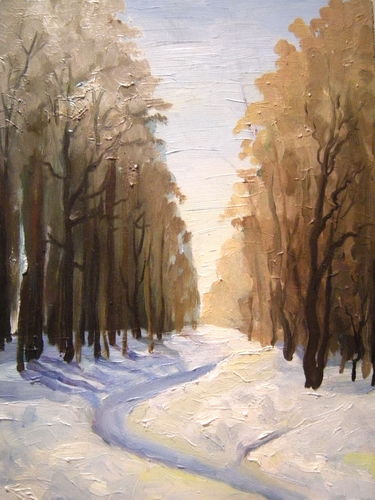 Зимний лес. тропинка..jpg