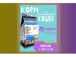 Инфографика корма "Probalance"
