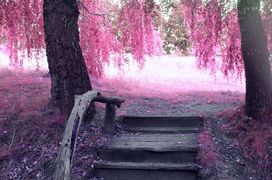 stairs.jpg