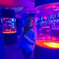 _sofaa_