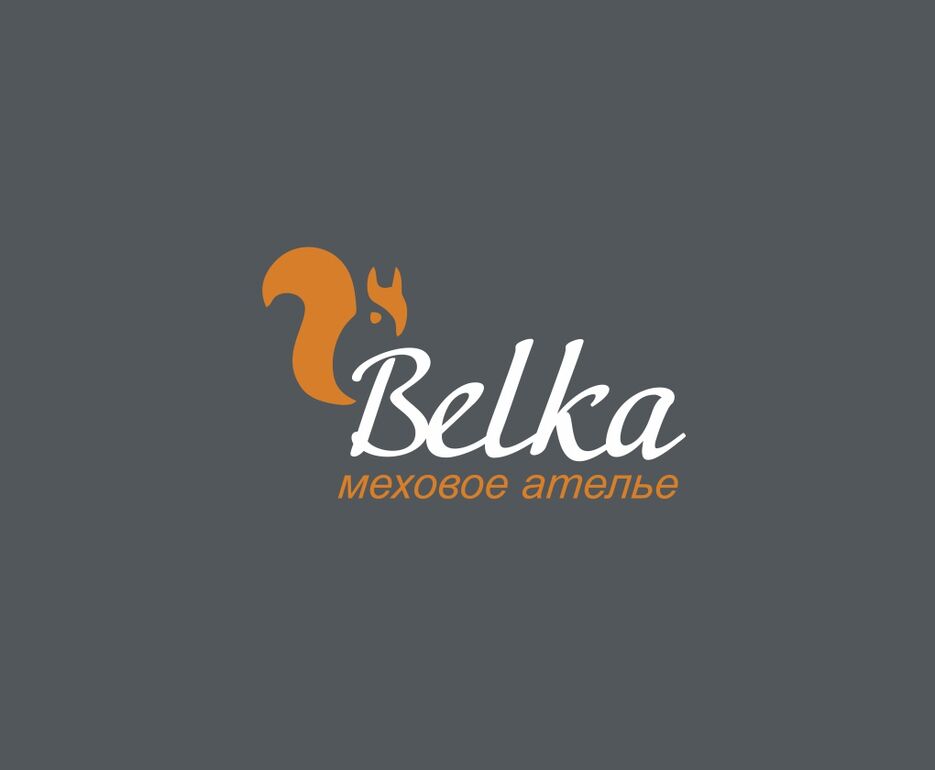 belka_logo.jpg
